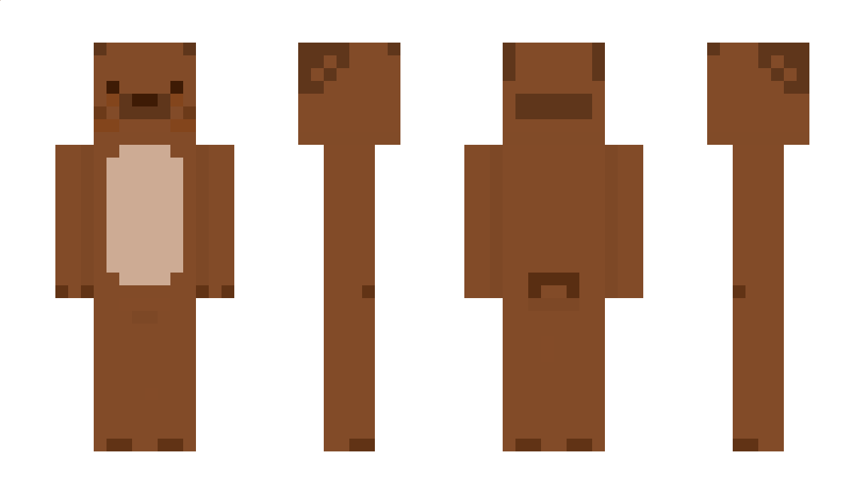 Record Minecraft Skin