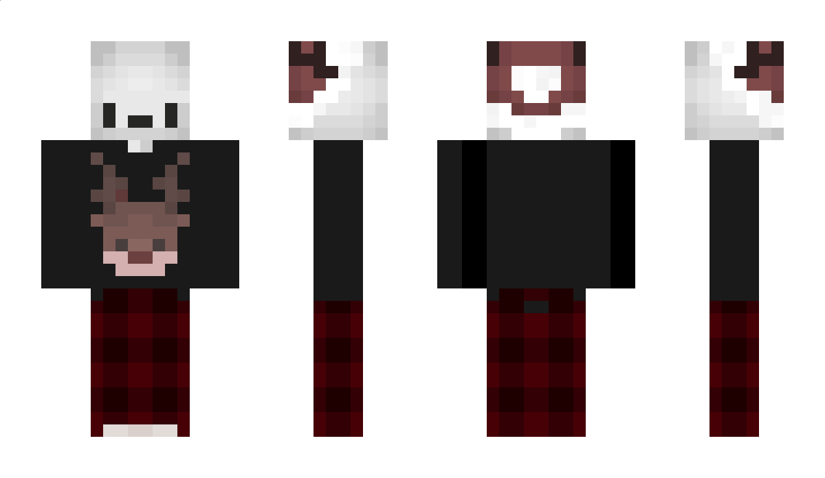 DerEisbaer Minecraft Skin