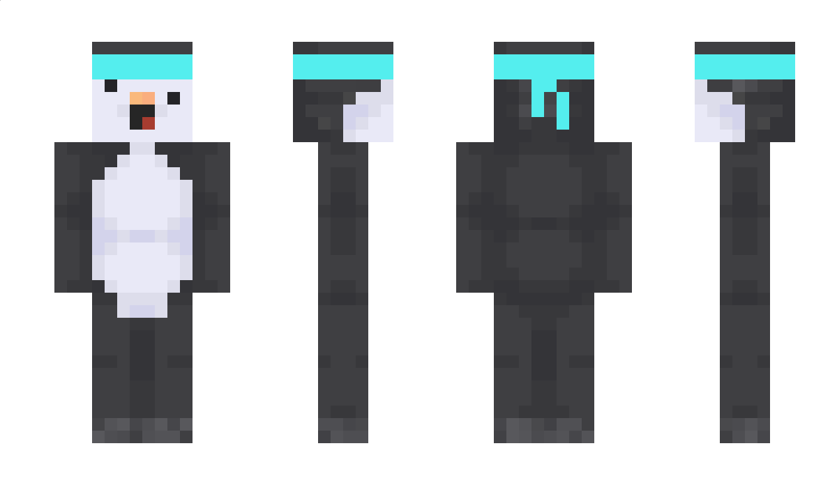 DevSnx Minecraft Skin