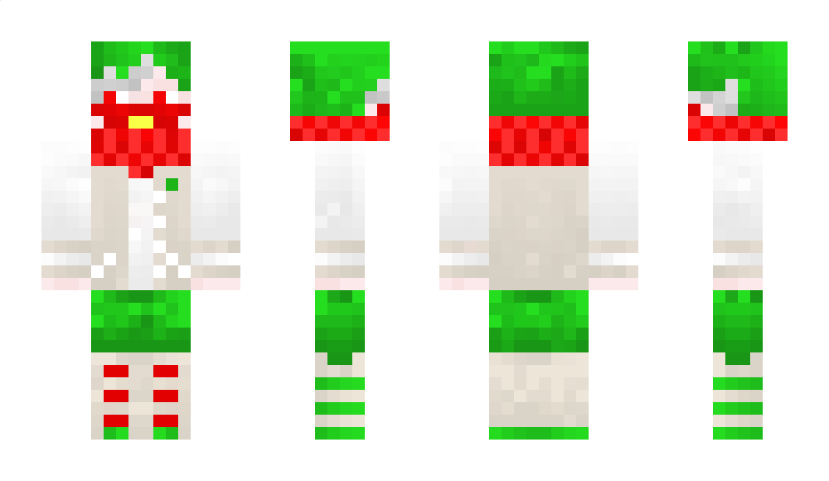 ryugond Minecraft Skin