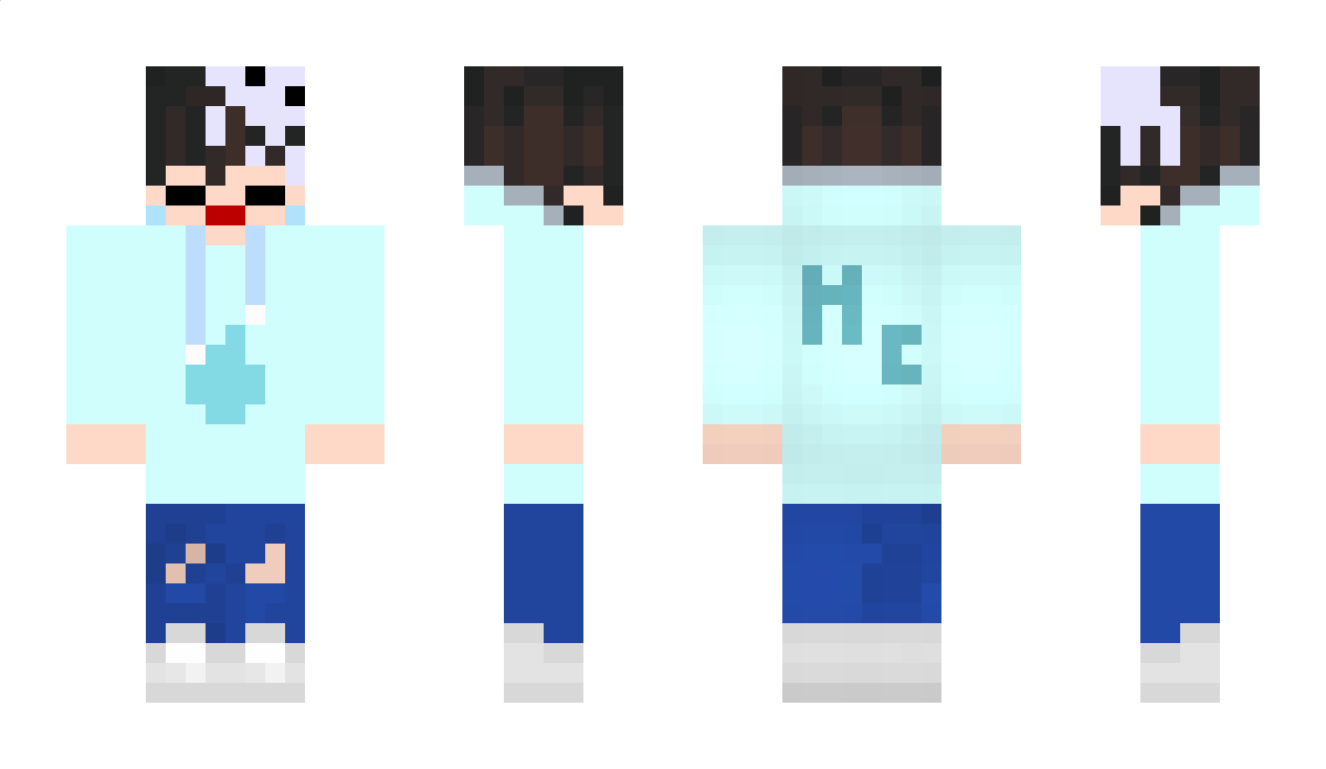 hanche651 Minecraft Skin