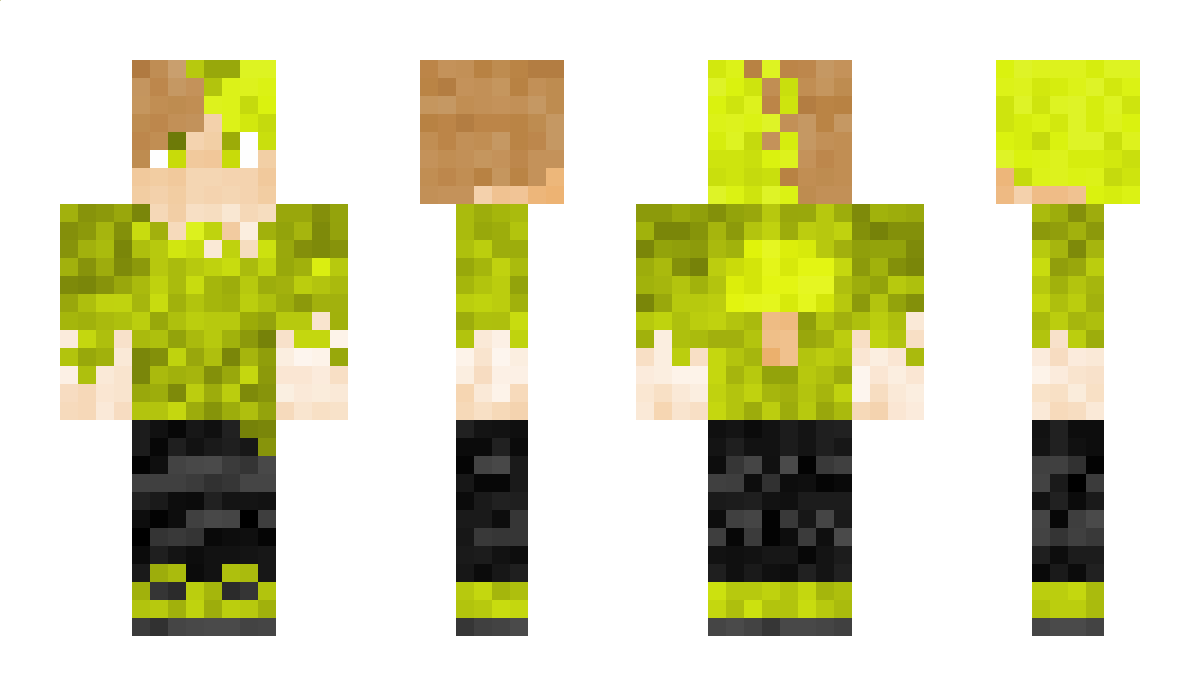 lausladis Minecraft Skin