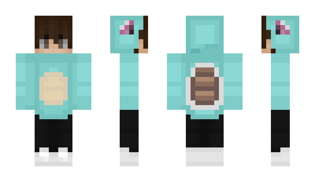 SaltyTurtle Minecraft Skin