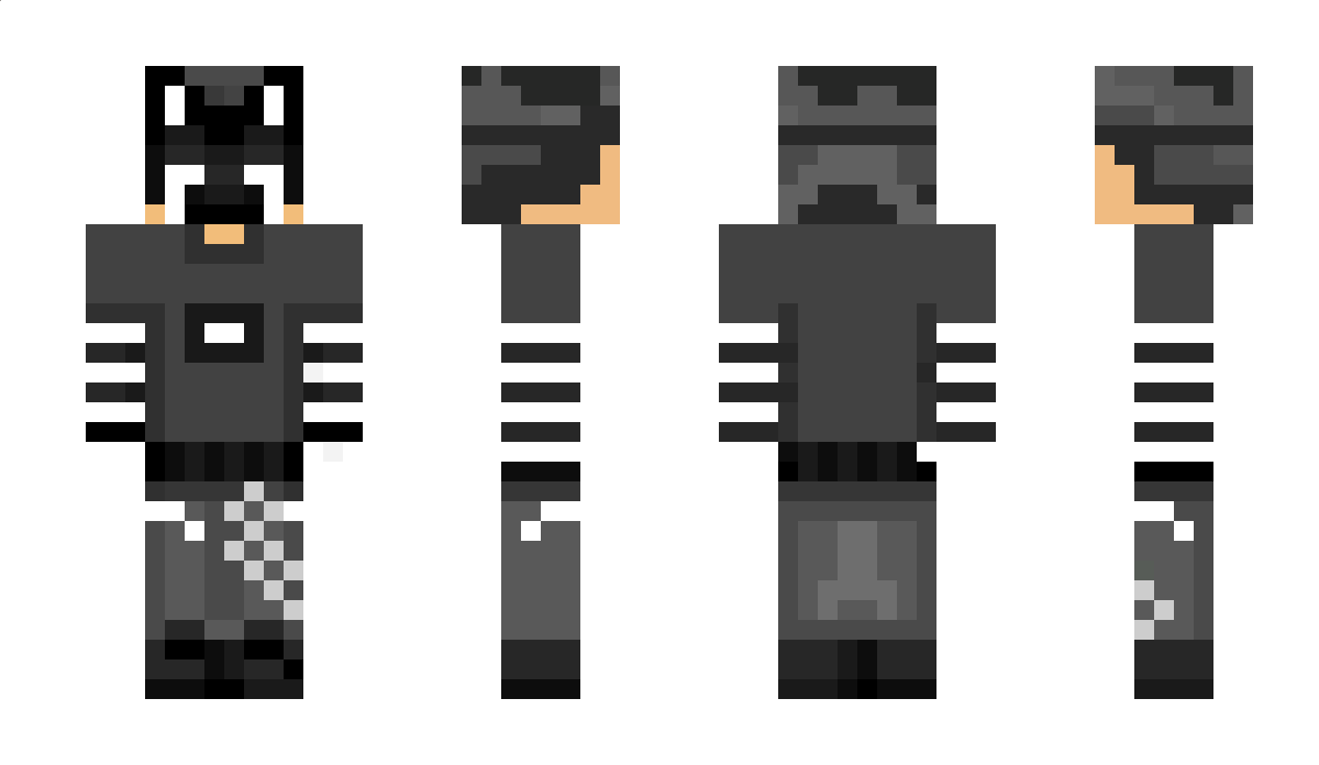 ProjectKit Minecraft Skin