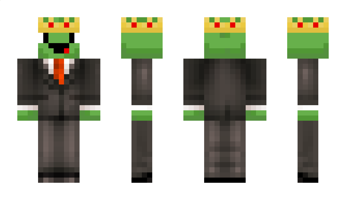 MegaTurtle27 Minecraft Skin