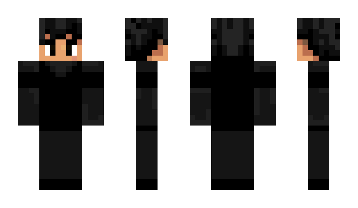 Densely Minecraft Skin