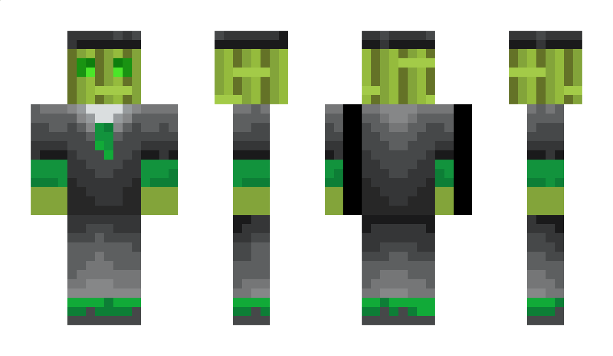 Bambusleitung299 Minecraft Skin