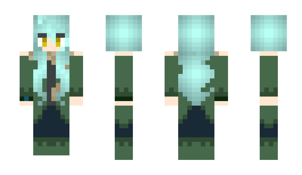 ew0345 Minecraft Skin