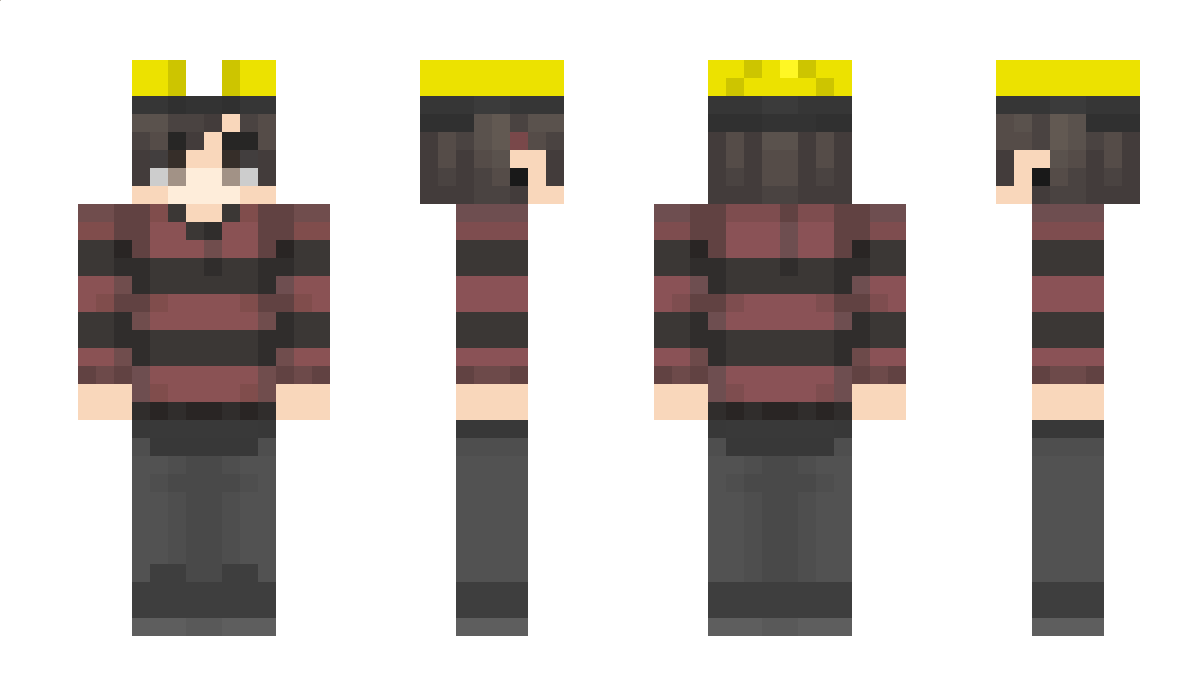 hallster11 Minecraft Skin