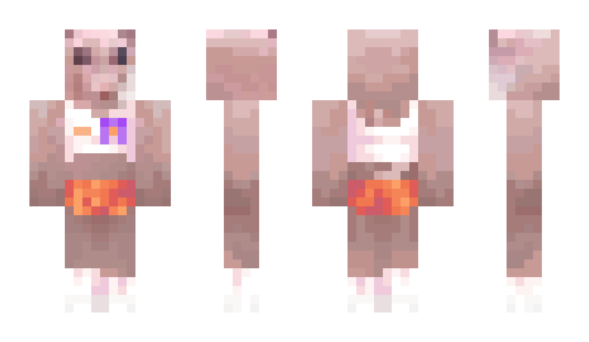 APLS33DZ Minecraft Skin