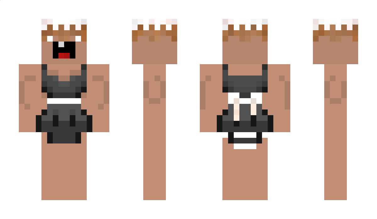 3Brueder Minecraft Skin