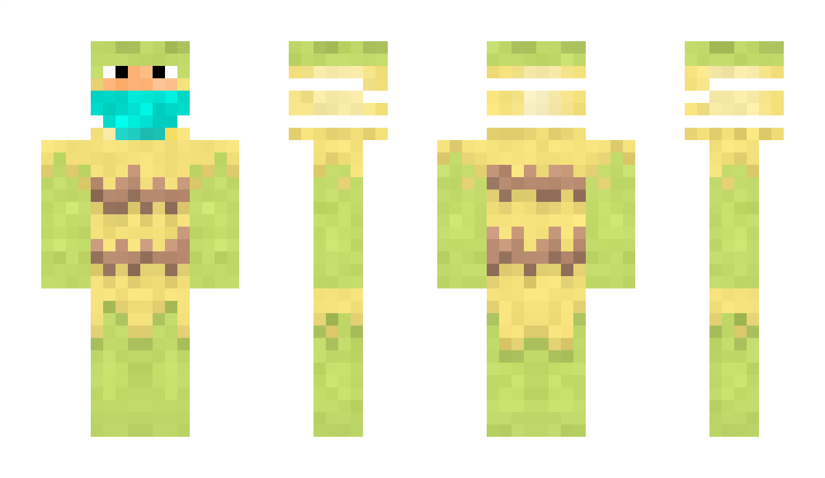 272 Minecraft Skin