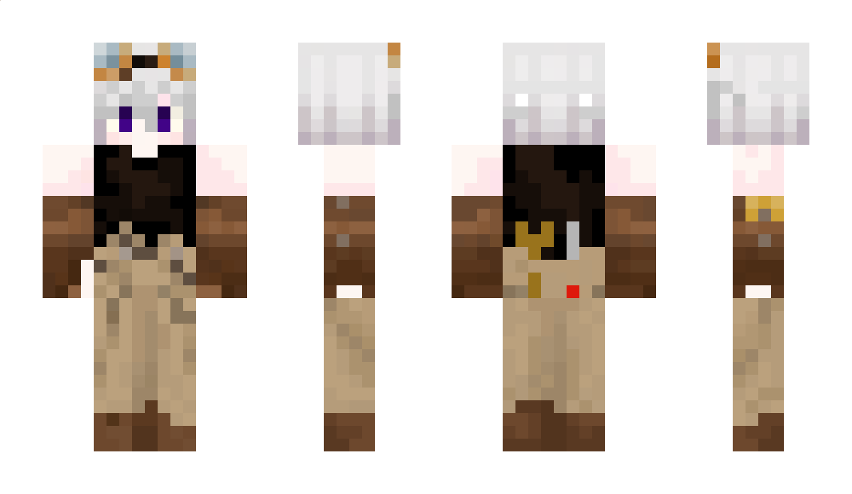 Aridemano Minecraft Skin