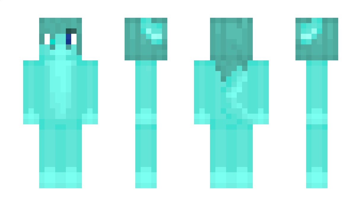 VNobody_ Minecraft Skin