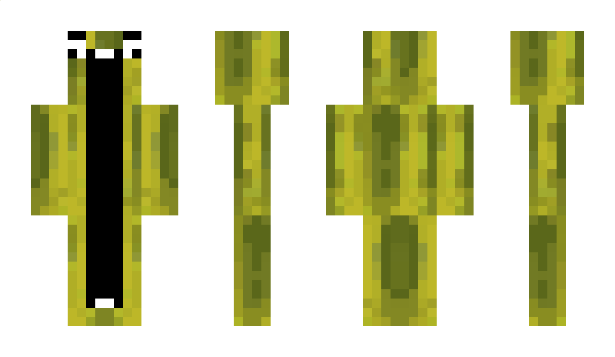 MelonMan999 Minecraft Skin