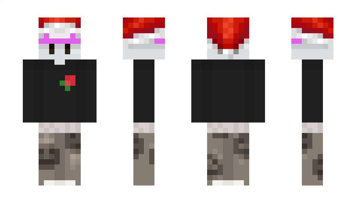 SuSgamer_ Minecraft Skin