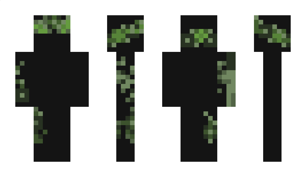 Enderkaem Minecraft Skin