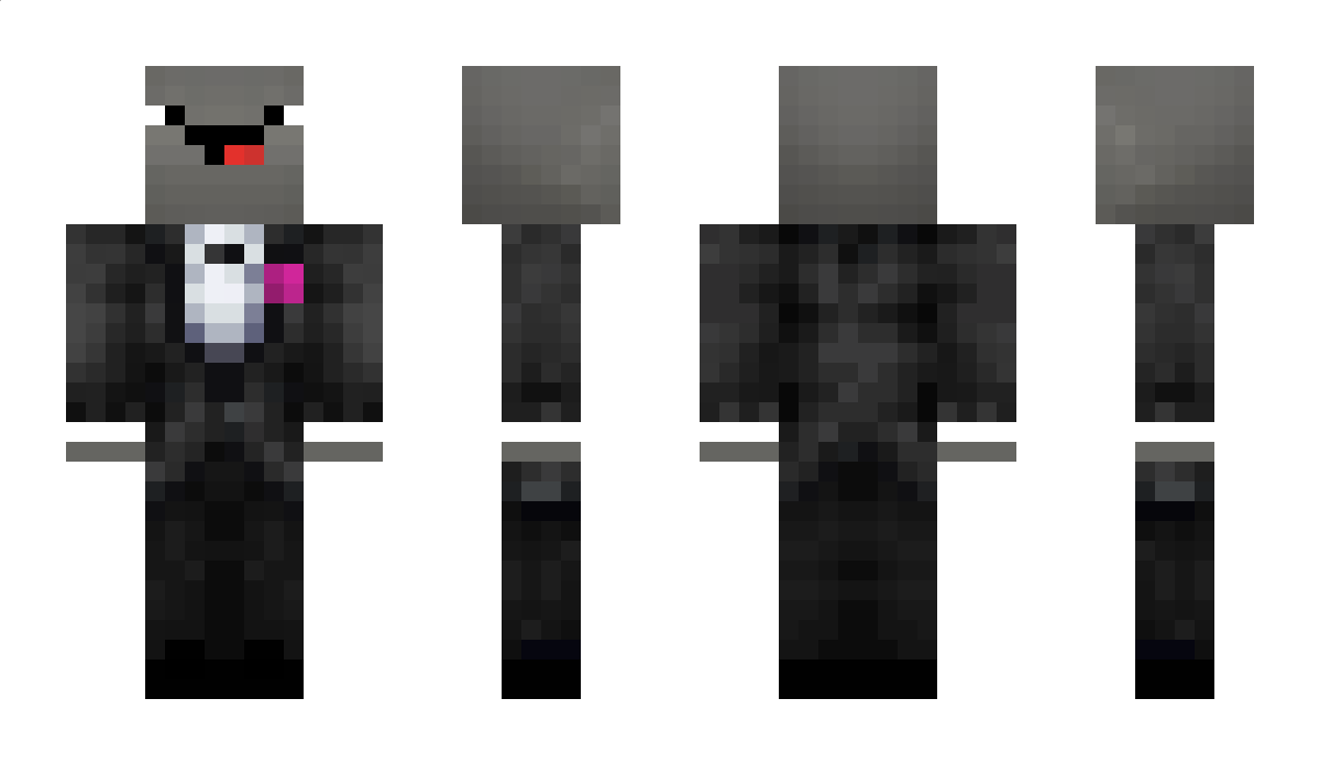 ExpoSeal Minecraft Skin