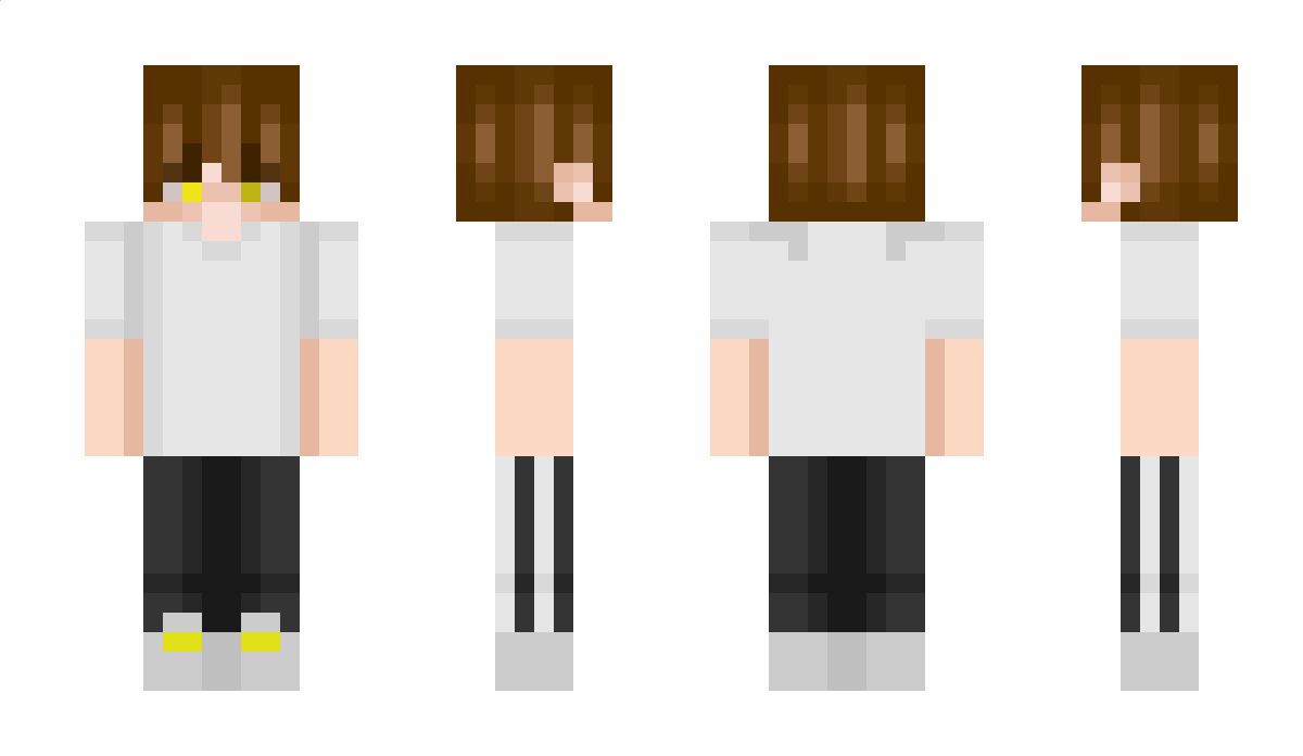 AllaysWoll Minecraft Skin