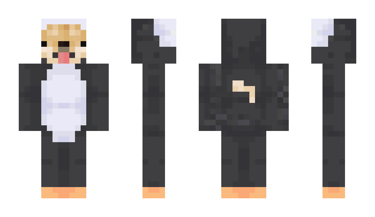 Sav Minecraft Skin