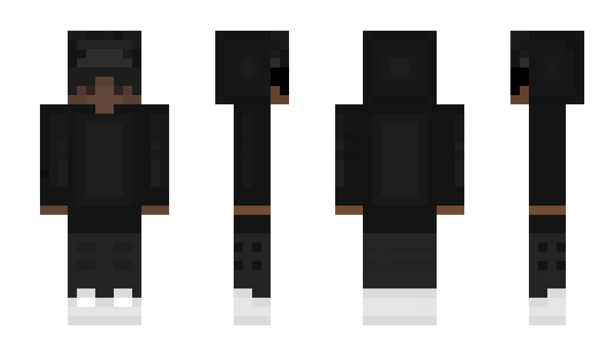 Vexillology Minecraft Skin