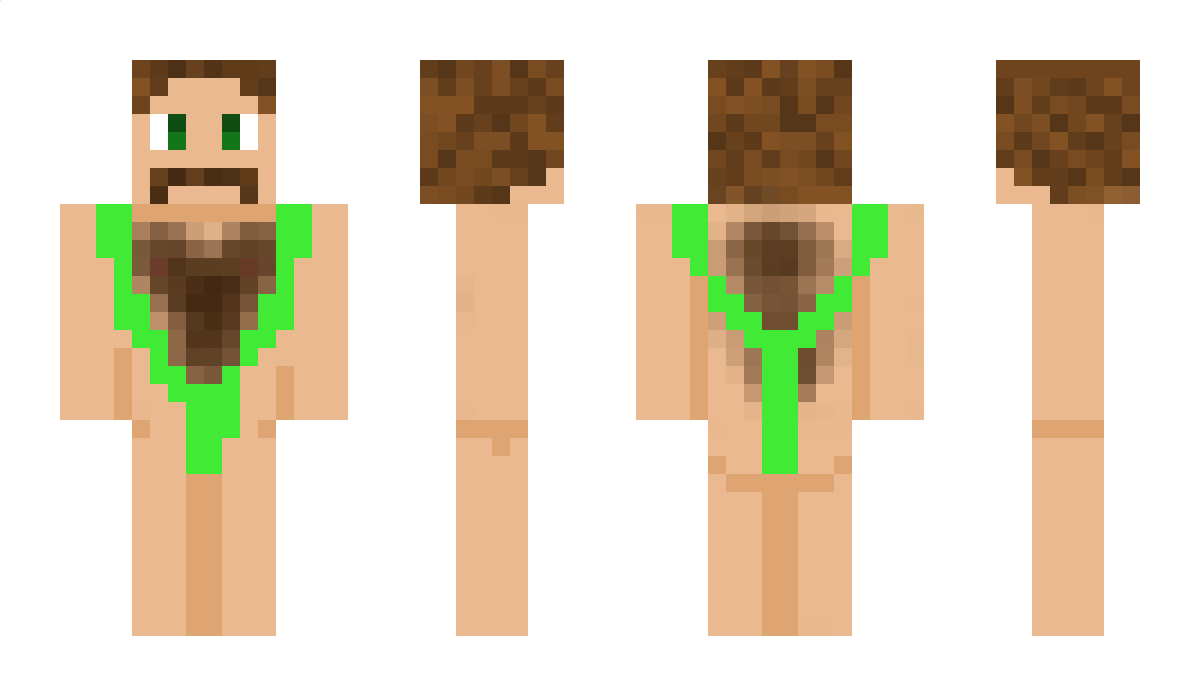 MR511 Minecraft Skin