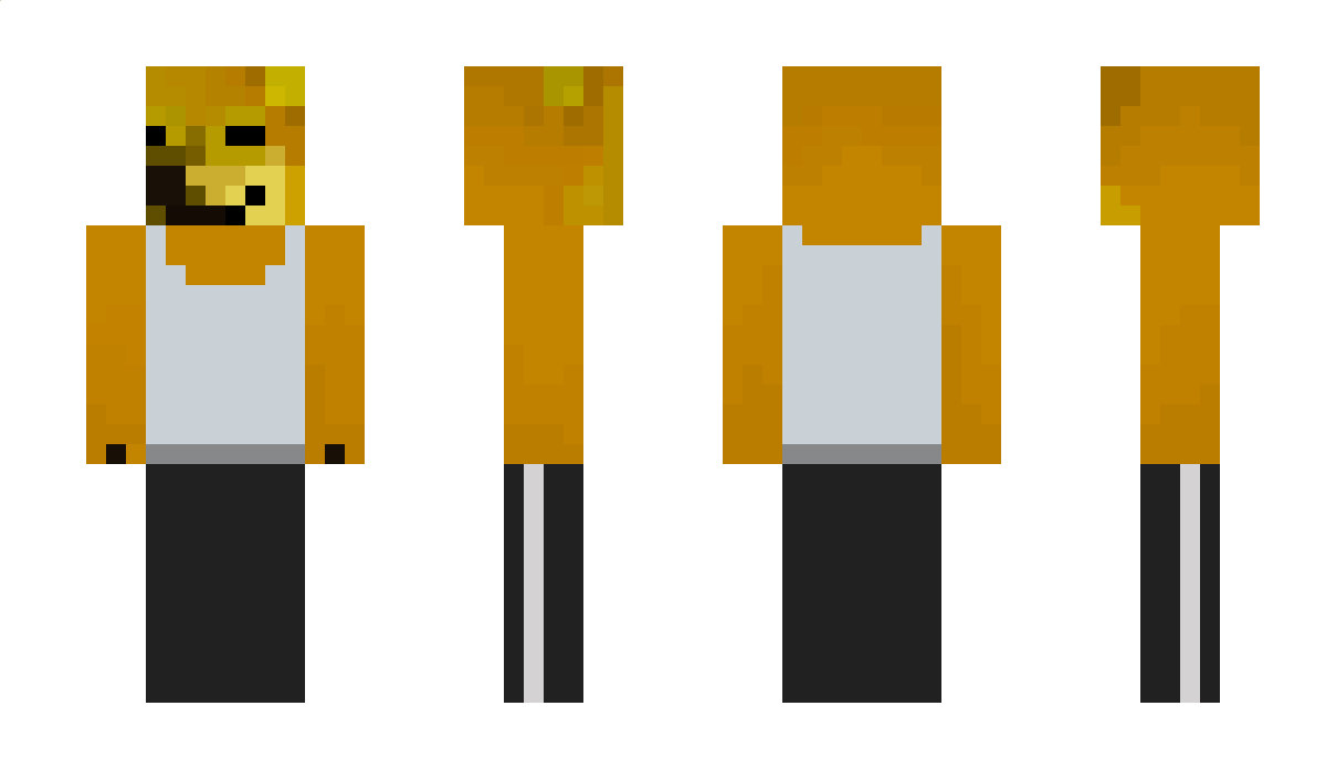 soliares Minecraft Skin