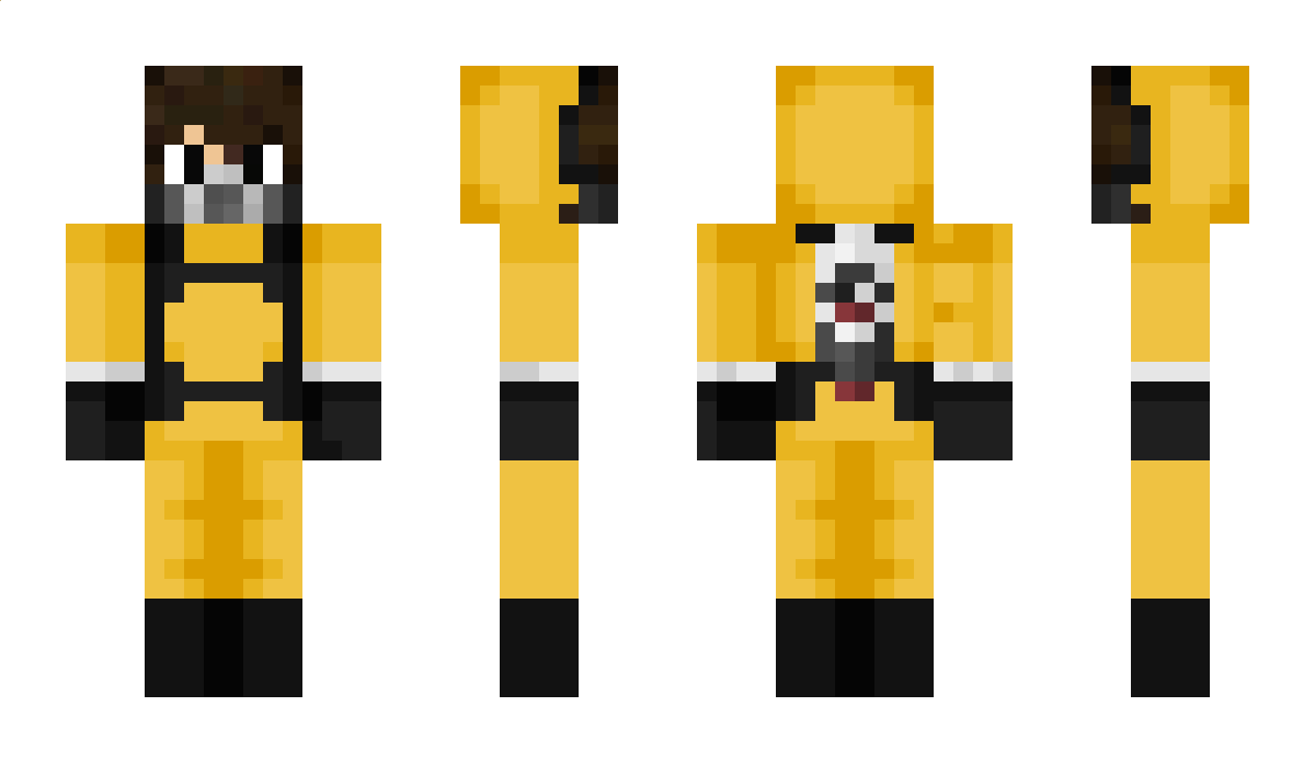 Hast Minecraft Skin