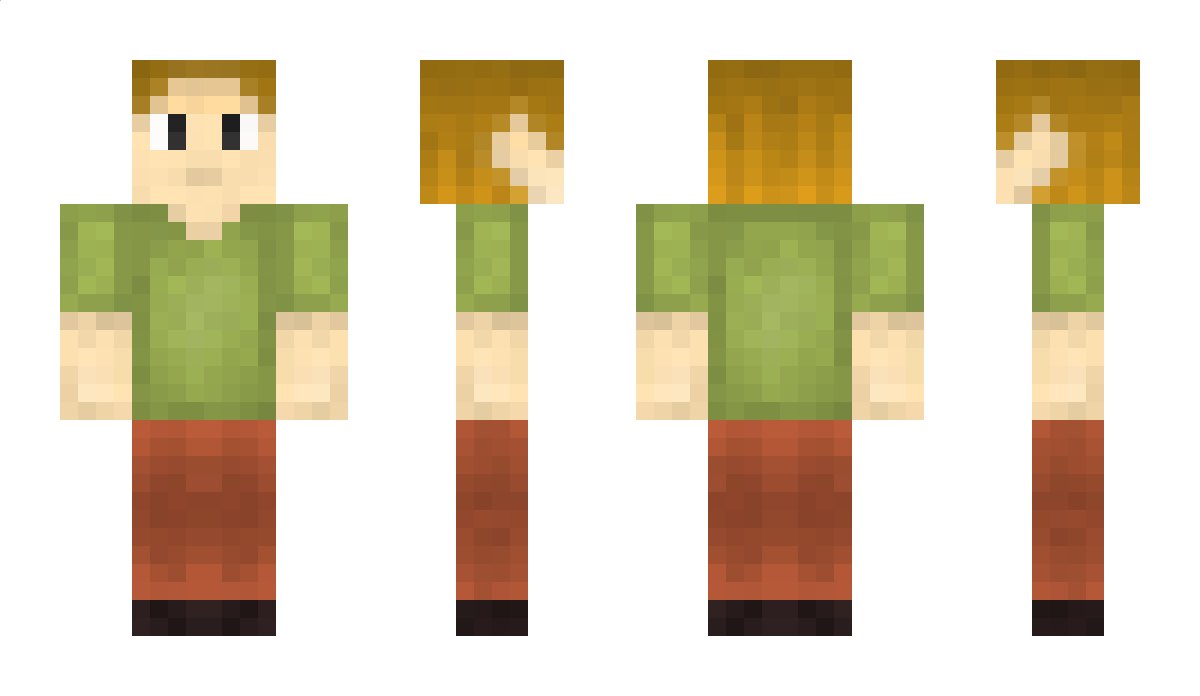 Ale Minecraft Skin