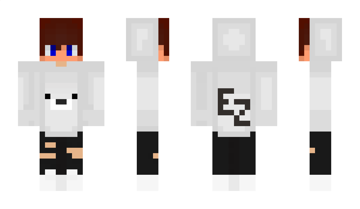 Swordom_ Minecraft Skin