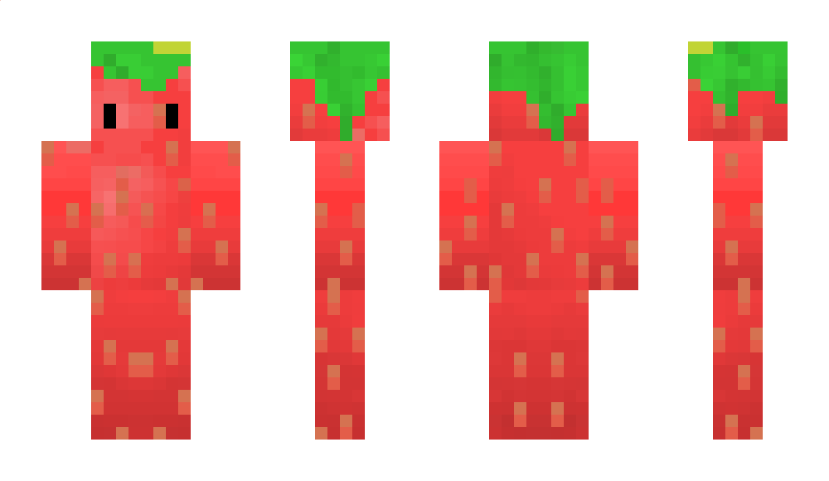 sr_br Minecraft Skin