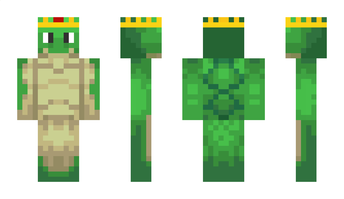 FlyingTurtle20 Minecraft Skin