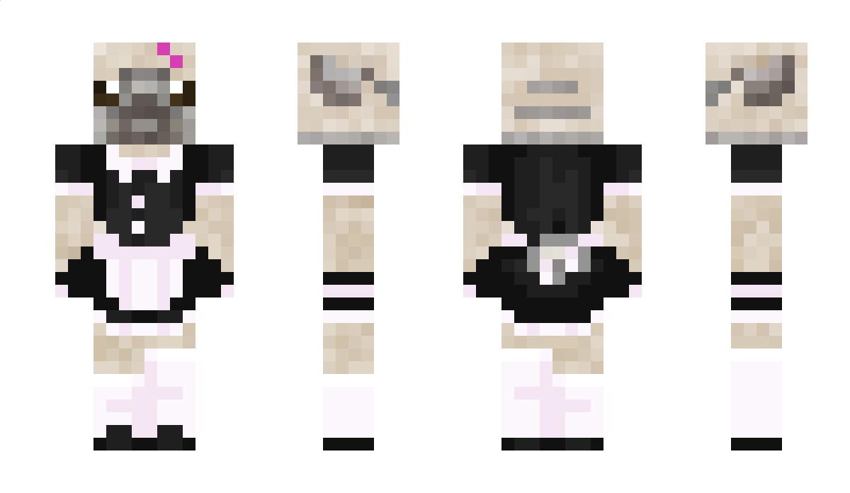 Thepoodles64 Minecraft Skin