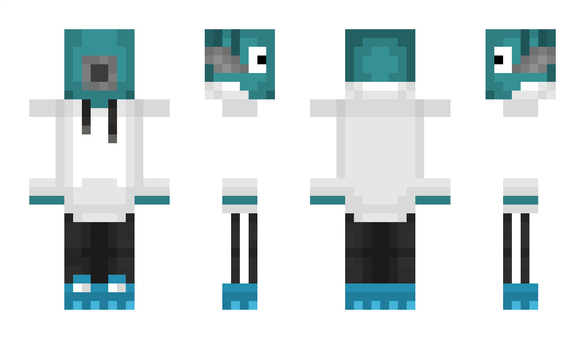 flyingfish893 Minecraft Skin