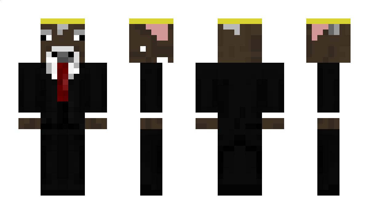 HuluHulu56 Minecraft Skin