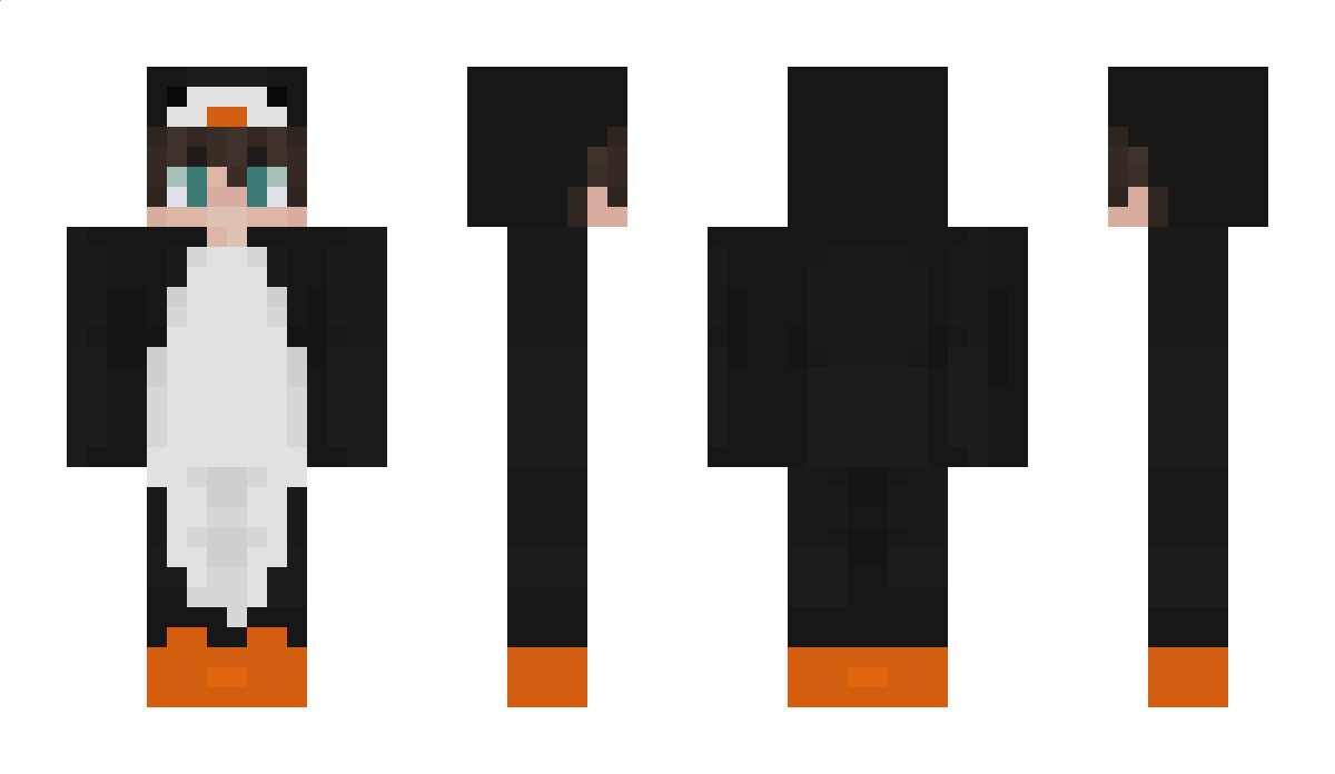 HalfHeart_ Minecraft Skin