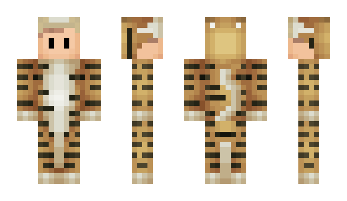 OldKnight Minecraft Skin