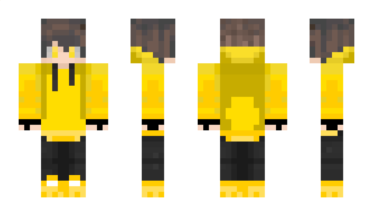 VienMC Minecraft Skin