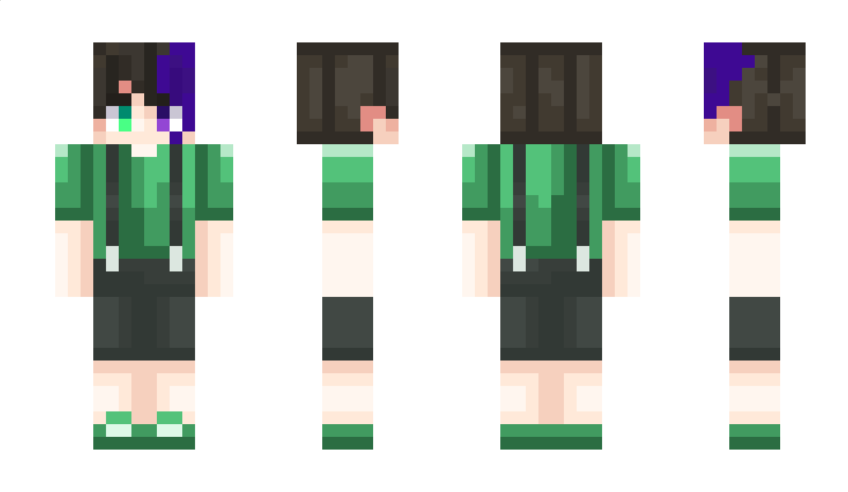 Homjim Minecraft Skin