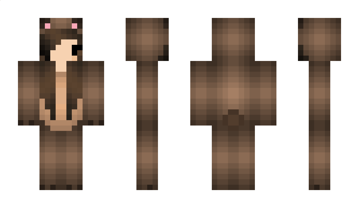 Bronze Minecraft Skin