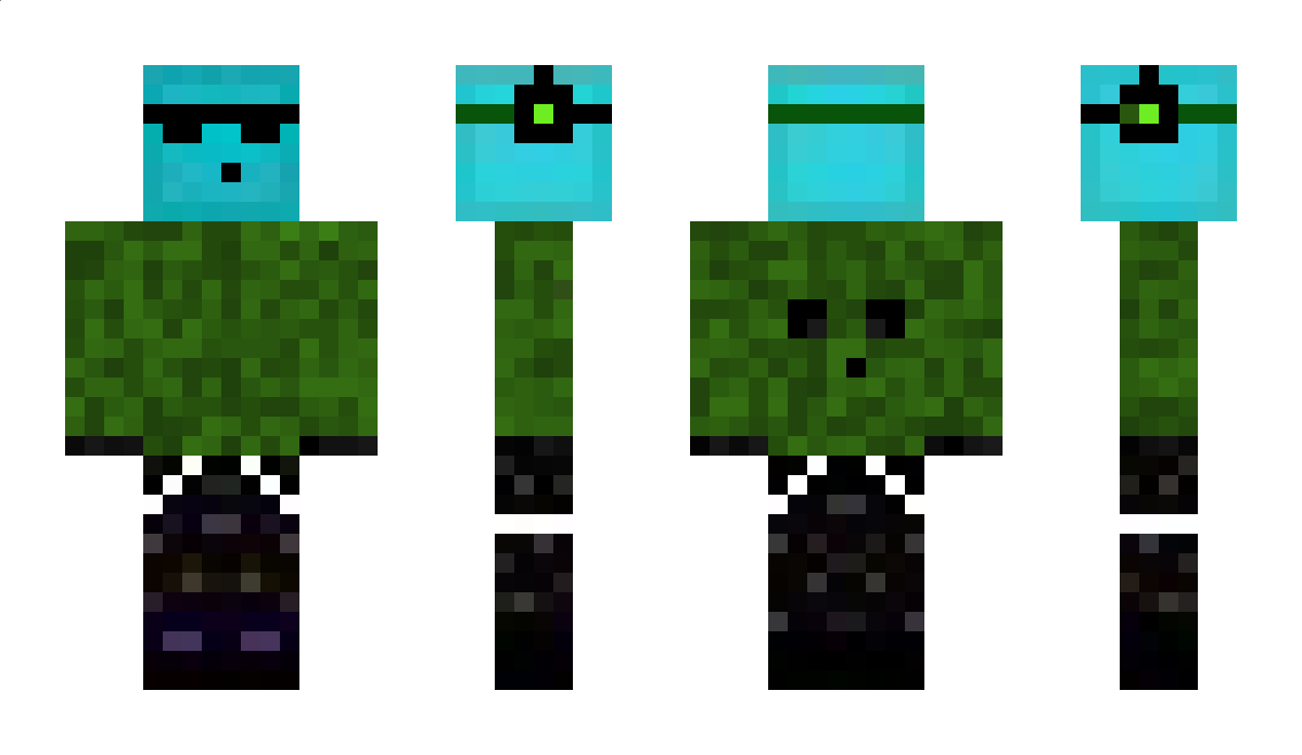 Leowookie Minecraft Skin