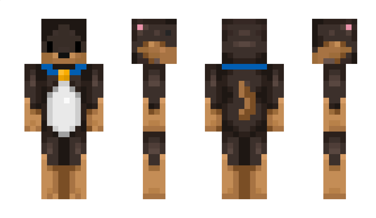 SandCastle69 Minecraft Skin