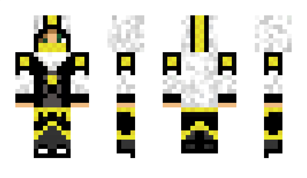 DGFE Minecraft Skin