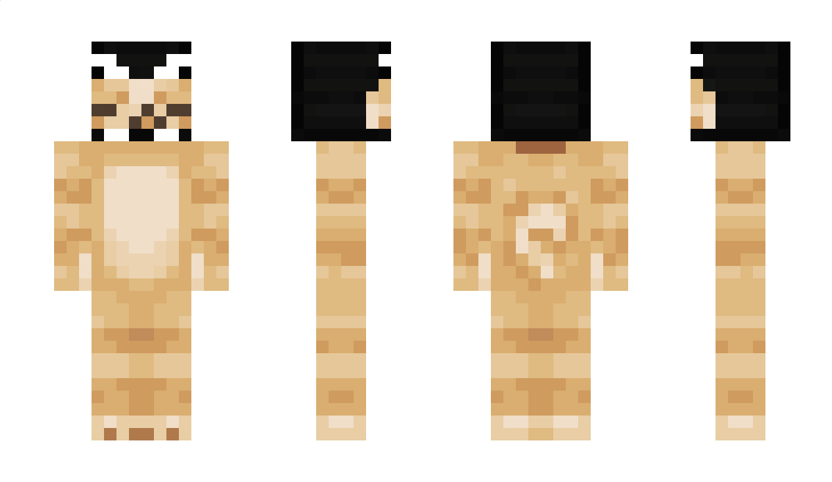 d4not Minecraft Skin