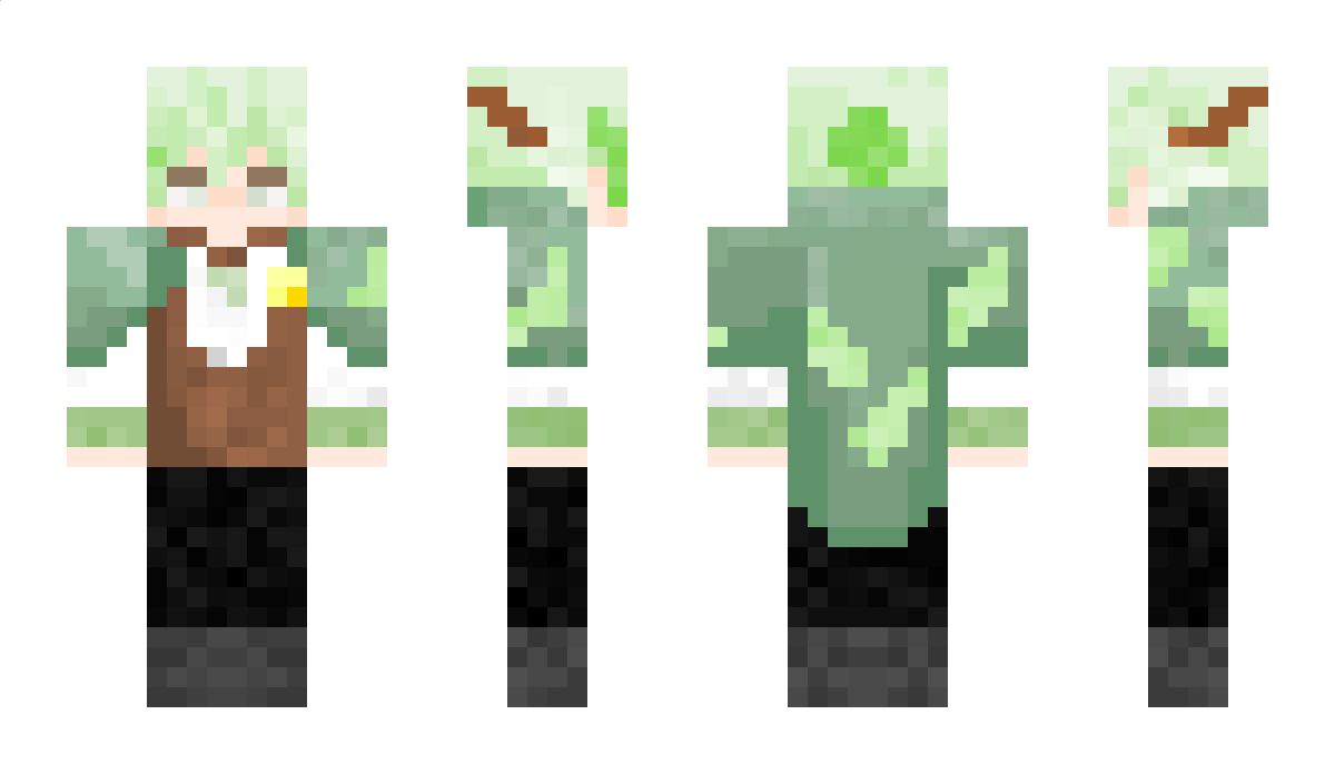 Tamer_Of_Dragon Minecraft Skin