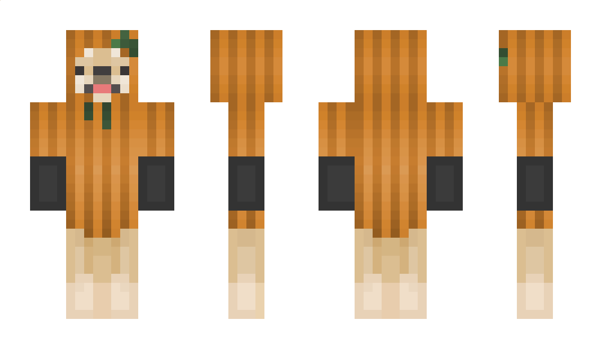 Panarchon Minecraft Skin