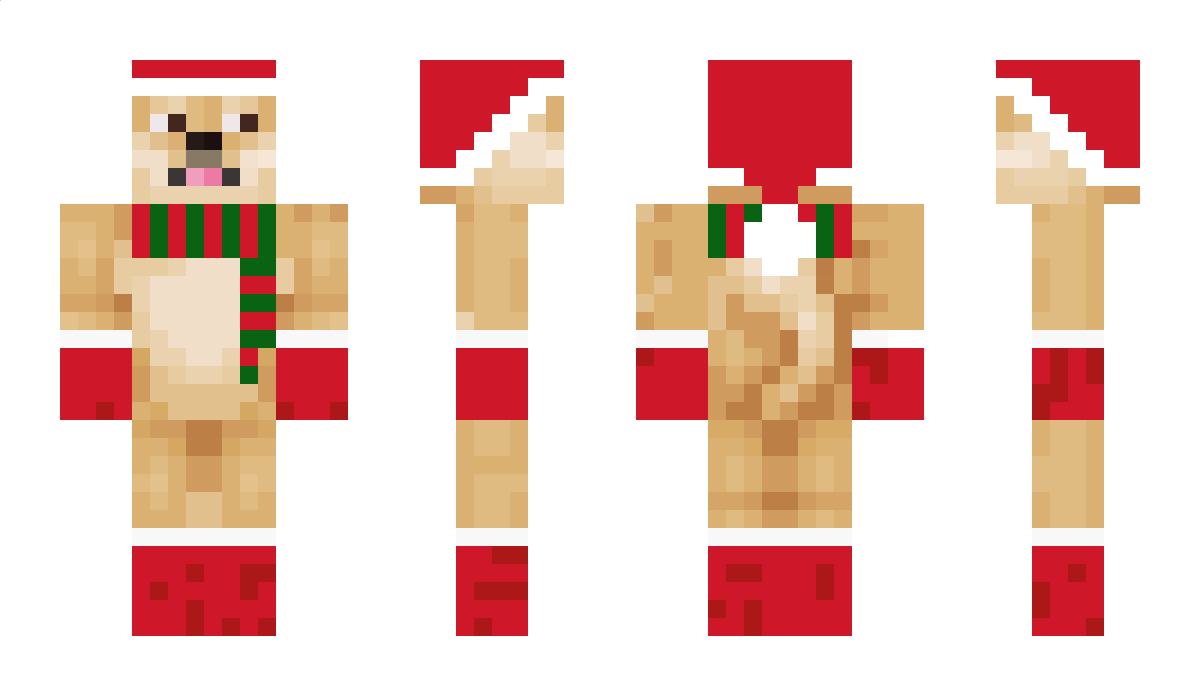 dxtrity Minecraft Skin