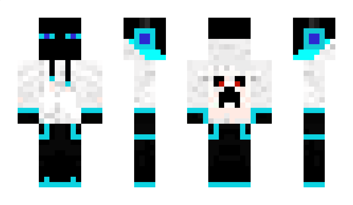 RaiZen1 Minecraft Skin