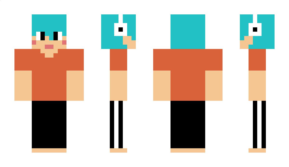 suier Minecraft Skin