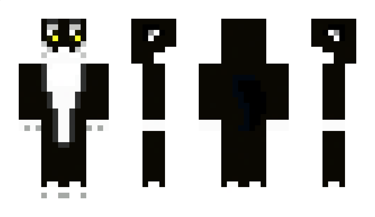 Garminiusz Minecraft Skin